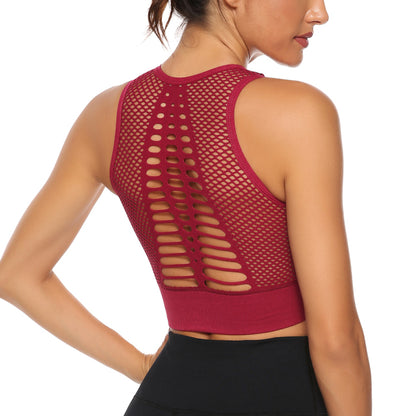 Seamless Hollow Crop Top